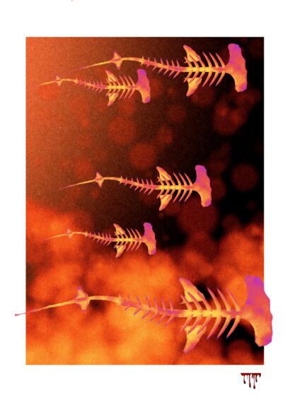 A Field of Arrows - a Digital Art Artowrk by Van Holz